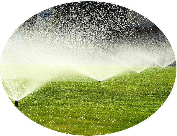 Toro MPR-Plus Fixed Spray Nozzles in Garden
